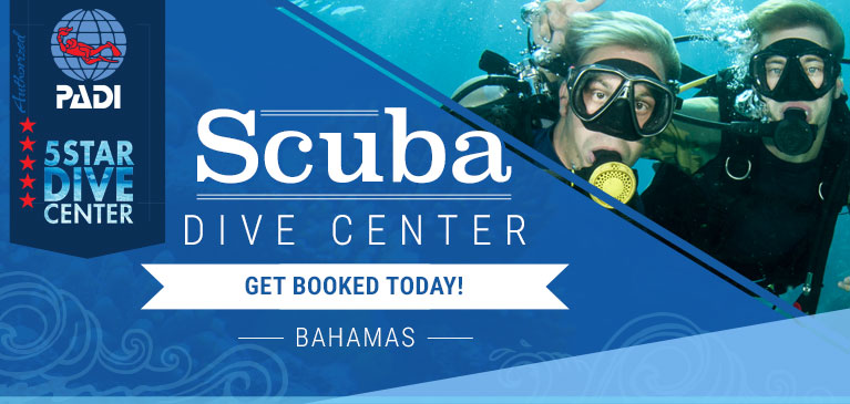 Grand Bahama Scuba Dive