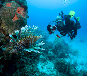 Grand Bahama Scuba Diving FAQ's