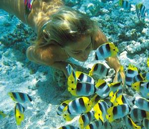 Grand Bahama Specialty Dive Trips